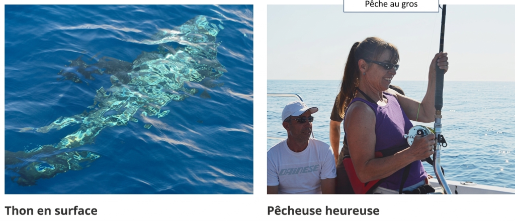 Pêche en bateau Antibes…